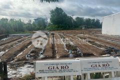 Bán nền văn hoá tây đô cái răng cần thơ sau lưng là chợ gần đường 1b thuận tiện kinh doanh