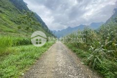 Mảnh đất tại hà giang thích hợp kinh doanh mô hình homestay đón khách du lịch quốc tế