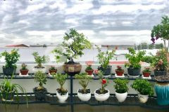 Bán nhà đẹp 3 tầng hẻm oto gần chợ chiều xã vĩnh ngọc,nha trang