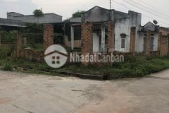 Đất bds vũ hòa đức linh dt720 14x33 thổ cư 2 mặt đường trước chùa vũ ân 1,9 tỷ