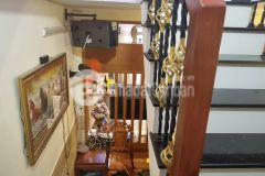 Cơ hội duy nhất để sở hữu con rùa vàng chốn sài thành.