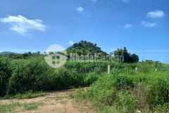 Đất bds tân phúc hàm tân 5,7 mẫu 1,8 tỷmẫu đất bằng giá đầu tư view đồi đẹp sinh lời