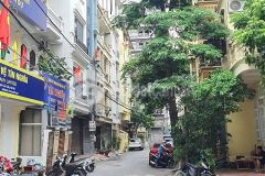 Nhà hiếm trần quốc hoàn 56m2, mt 4.2m vỉa hè ô tô kd nhỉnh 12 tỷ