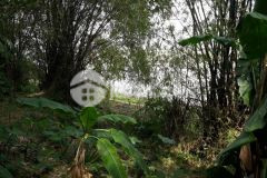 Chỉ 29trm2 đất mặt tiền rộng view sông ôtô vào đất 330m 9xtỷ bắc cầu long biên