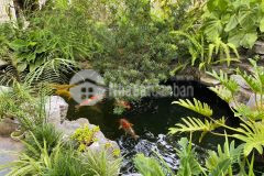 Bán bt hoa lan vinhomes riverside wiew sông cực đẹp không lỗi phong thủy 68,9 tỷ