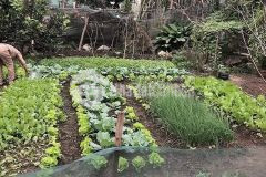 Mặt phố giáp bát 102m2 đất hoàng mai