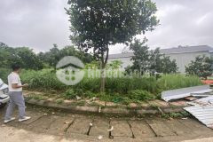 Đât hoa thach, gân dh09 hơn 1 ty, 106m2 đương ô tô tranh nhau