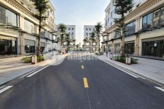 Cho thuê shophouse 82,5m2 hot nhất vinhomes ocean park gia lâm giá chỉ 12 triệutháng