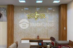 Thụy khuê, 50m2, 5m ra oto, 10m ra đường lớn. nhỉnh 4 tỷ