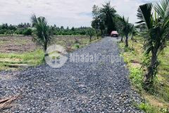 Bán đất vườn thị trấn bến lức long an trên trục đường tỉnh lộ 816 đường công cộng đổ đá xanh xe