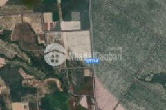 Xinh chào, tấn có lô đất tiềm năng giới thiệu đến anh chị tại xã định thành, dầu tiếng, bình dương.