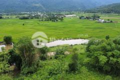 Chỉ với 1,x tỷ x tiểu học sở hữu ngay siêu phẩm view triệu đô có dt lên đến 2000m2 full thổ cư