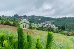 Bán gấp lô đất view đồi săn mây cực đẹp tại trung tâm xã lộc quảng 10p ra trung tâm tp bảo lộc