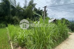 Cắt lỗ lô đất nhỏ tại trung tâm hà giang thích hợp khai thác du lịch trải nghiệm bậc nhất