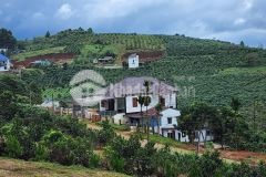 Chủ cần ra gấp lô đất mặt tiền lạc long quân view săn mây cực đẹp sổ riêng công chứng ngay