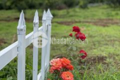 Siêu phẩm đất nền bảo lộc, bảo lâm, lâm đồng.