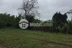 Bán đất giá rẻ 5x25 tại quảng trị 0367907267