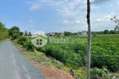 Đất mặt tiền 490tr165m2 kế bên tp tây ninh,sổ sẵn, thổ cư