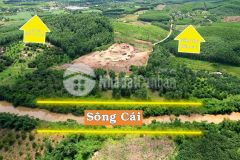 Cơ hội vàng để sở hữu đất vườn view sông đồng giá 390 triệu cho đến hết tuần