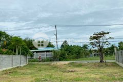 Bán gấp 3trm2 trong ngày chủ nhật 1000m2 sổ sẵn