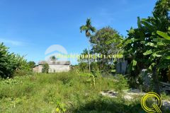 Đất giá rẻ tiềm năng tại quảng trị giá chỉ 4xx hải hưng hải lăng quảng trị 0941076225