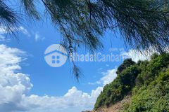 Cc cần đi nhanh mảnh đất tại cô tô, đầu tư đón sóng quy hoạch