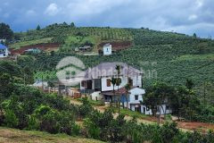 Đất view, mặt tiền trục đường lạc long quân ngay trung tâm giá 900.lh 0397 504 139