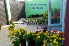 Bán nhà đẹp kim giang, ngõ thông thoáng, s60m2, mt7m giá chỉ 4,5 tỷ.