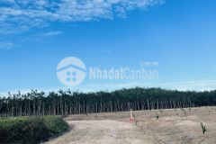 Bán 5 công 6 đất châu thành giá rẻ