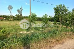 Bán vườn rộng tại xã tịnh hiệp sơn tịnh quảng ngãi 6700 m2