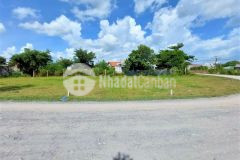 Cần tiền trả nợ ngân hàng bán gấp thổ cư 162.5m² giá 479tr.