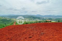 Bán 5 nền đất nghỉ dương diện tích hơn 1000m2 đầu tư giá fo. tại xã nam hà. huyện lâm hà