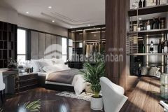 Nhà cực chill lô góc phố vạn bảo, ba đình 55m2, 5t, mt10m tặng nội thất xa hoa