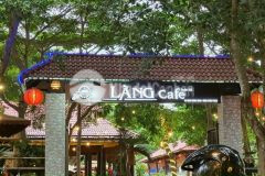 Chỉ từ 350tr là có thể sở hữu 1 lô đất gần 300m2 có sẵn thổ cư