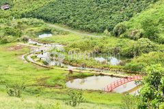 Đất vàng nam đà lạt trọng điểm du lịch, có sẵn thổ cư giá rẻ chỉ từ vài trăm triệu