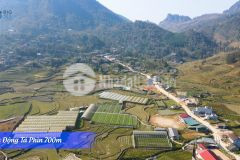 Bán đất trung tâm xã tả phìn sapa lào cai, lô 800m2 đường tả phìn sổ đỏ thổ cư.