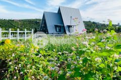 Còn 1 lô ngay chợ lộc quảng đi vô 5 sẵn sổ có thổ cư