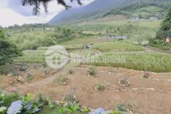 Đất nền sapa 2, mò phú chải, đón sóng cao tốc, sân bay