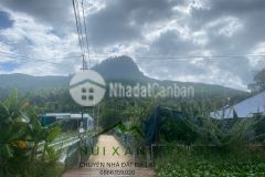 Ban đât đinh an đưc trong diên tich lơn gia đâu tư