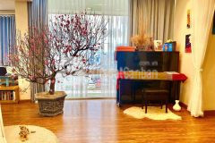 Penhouse 2 tầng lạc trung, ở cực phê, có sân vườn, 300m giá chào 7.1 tỷ.