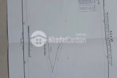 Chỉ với hơn 1 tỷ, sở hữu ngay mảnh đất thuộc phan cán xử view săn mây cực đẹp