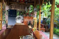Bán quán cà phê 2 mặt tiền rộng, hội an, kinh doanh phục vụ khách du lịch, 8 tỷ có thương lượng.