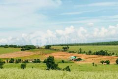 Lô đất hơn 1,1ha hai mặt tiền đường kênh xã phan thanh. giá 130km2.lh hoặc add zalo