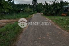 Bán đất dương minh châu tây ninh