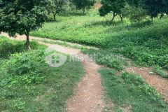 Siêu phẩm 2 mặt tiền cư mgar đắk lắk