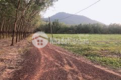 Xinh chào, tấn có lô đất ngang 32m2 và tổng diện tích 1487m2, nằm ở xã định an, dầu tiếng, bd.