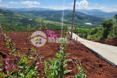 Chỉ 1,5 tỷ sở hữu ngay 1000m2 đất nghỉ dưỡng ngoại ô vùng ven tp đà lạt. tại nam hà. lâm đồng