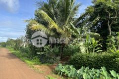 Bán đất eakmat xã hòa đông quốc lộ 26 krông pắc đắk lắk giá 670 triệu