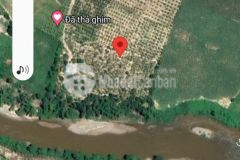 Hàng vừa hiếm vừa quý vừa rẻ