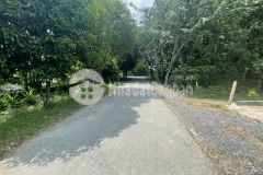 Cần bán miếng đất 440m2 có 300m2 ở củ chi giá 1 tỷ 950.shr